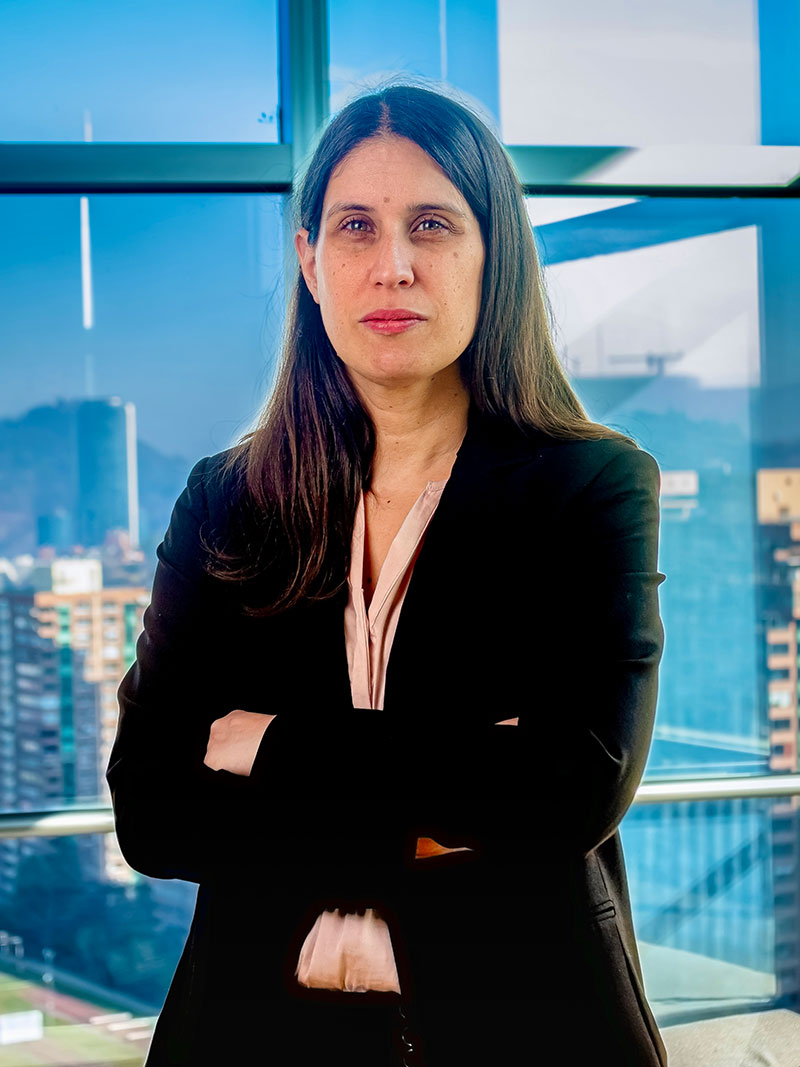 Lee más sobre el artículo JULIETA VIVANCO UNDURRAGA